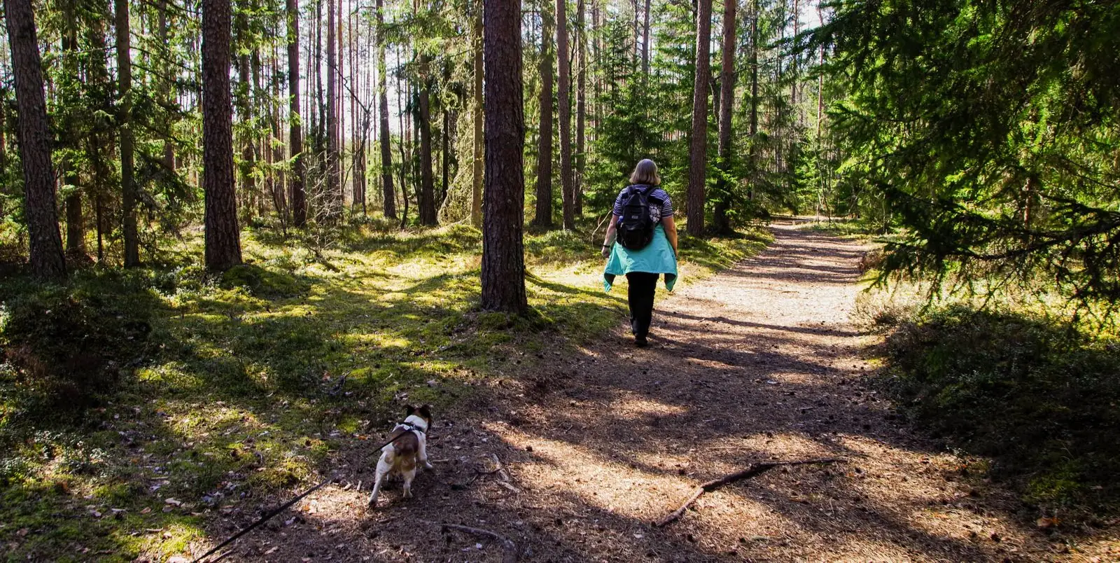 Mulher caminhando com um cão por uma trilha em meio às árvores