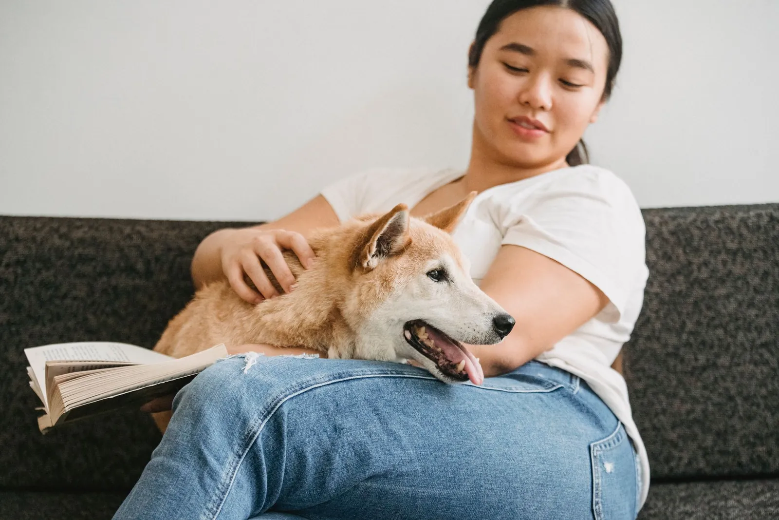 Tutora acariciando seu cão no sofá em um momento de rotina em casa